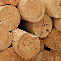Оцилиндрованное бревно 200 мм